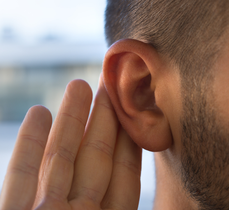 Comprendre la perte auditive